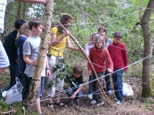 Gruppe von Kindern und Jugendlichen beim Spielen im Wald, umgeben von Bäumen und Seilen.