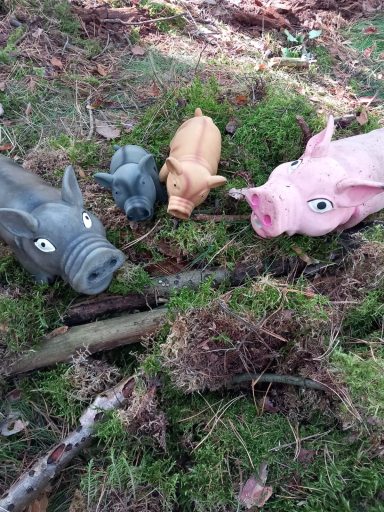 Vier plastische Schweinefiguren in verschiedenen Farben auf moosigem Boden im Wald.