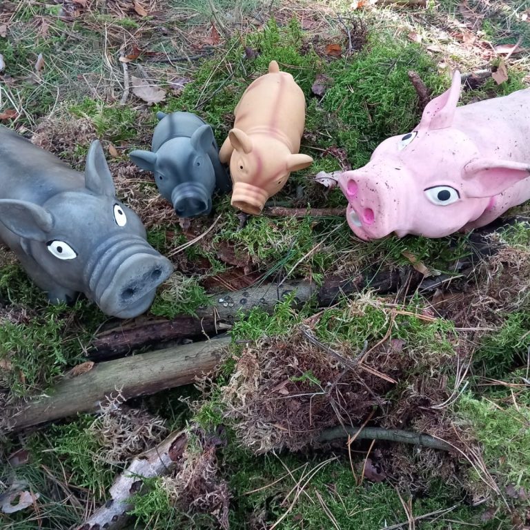 Vier Kunststoffschweine in unterschiedlichen Farben auf grünem Moos und Ästen.