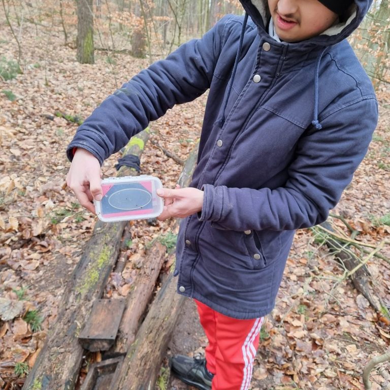 Junger Mann im Wald hält ein Behältnis mit Inhalt in den Händen.